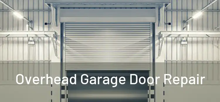 Overhead Garage Door Repair